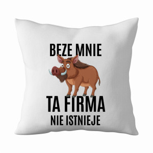 Beze mnie ta firma nie isnieje