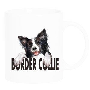 BORDER COLLIE