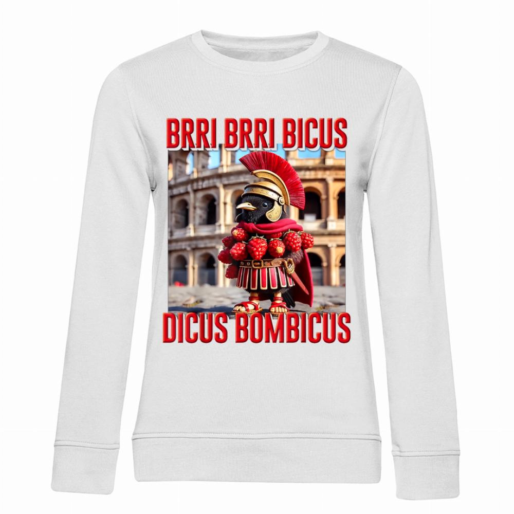 Brri Brri Bicus Dicus Bombicus bluza damska bez kaptura