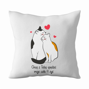 Chcę z Tobą spędzić 9 żyć