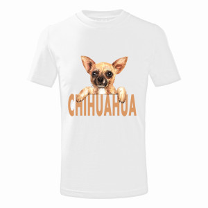 CHIHUAHUA