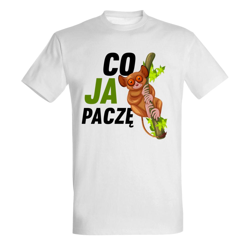 Co Ja Paczę koszulka męska