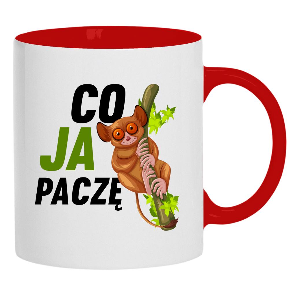 Co Ja Paczę kubek ucho kolor