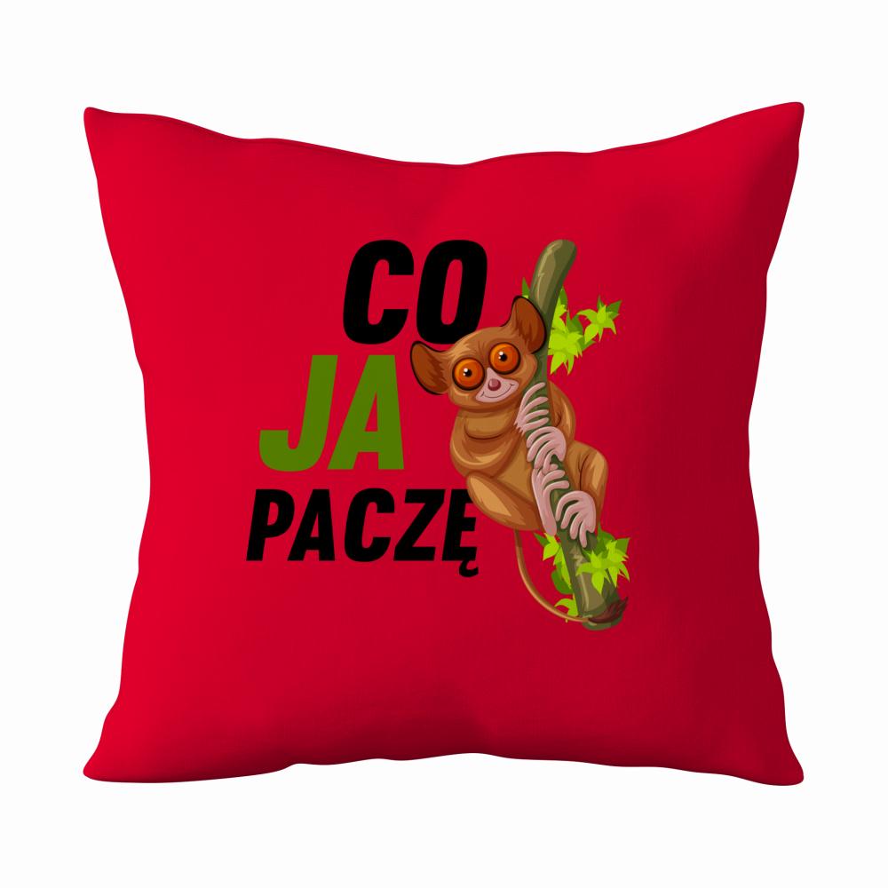 Co Ja Paczę poduszka kolor czerwony