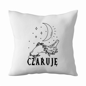 Czaruję
