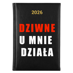 Dziwne u Mnie Działa 1