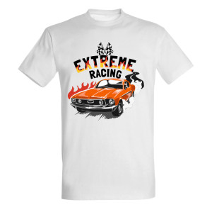 Extreme Racing
