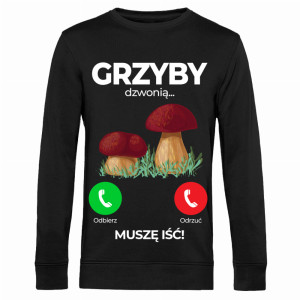GRZYBY DZWONIĄ MUSZĘ IŚĆ