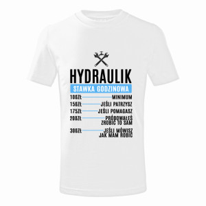 Hydraulik Stawka Godzinowa