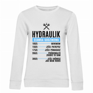 Hydraulik Stawka Godzinowa