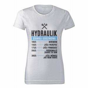 Hydraulik Stawka Godzinowa