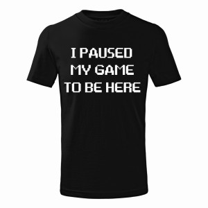 I PAUSED MY GAME TO BE HERE