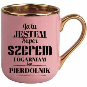 Ja tu jestem szefem i ogarniam ten pierdolnik