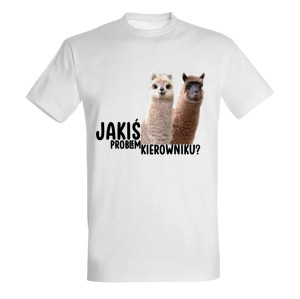 JAKIŚ PROBLEM KIEROWNIKU?