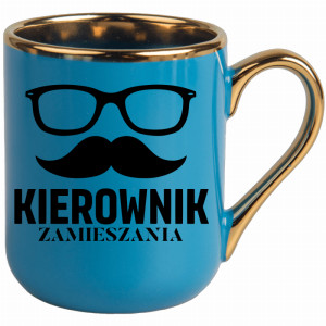 KIEROWNIK ZAMIESZANI