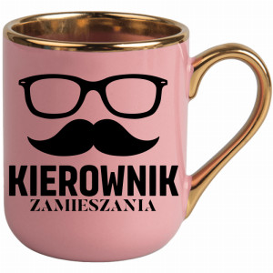 KIEROWNIK ZAMIESZANI