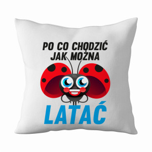 Latać Biedronka