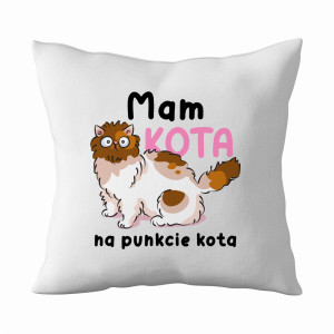 MAM KOTA NA PUNKCIE KOTA