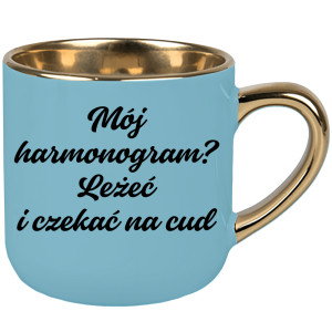 Mój harmonogram? Leżeć i czekać na cud.