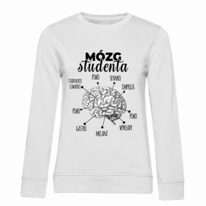 Mózg Studenta