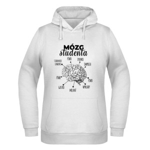 Mózg Studenta