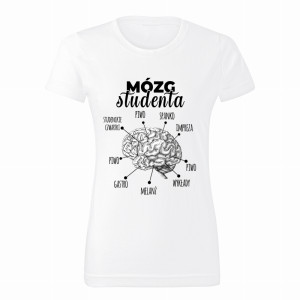 Mózg Studenta