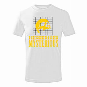 MYSTERIOUS1