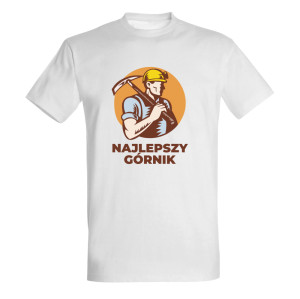 Najlepszy Górnik