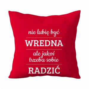 Nie lubię być wredna ale trzeba sobie radzić