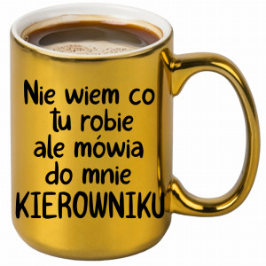 NIE WIEM CO TU ROBIĘ ALE MÓWIĄ KIEROWNIKU