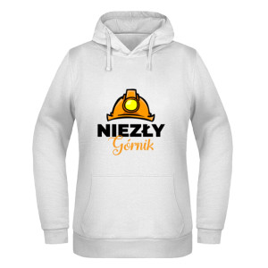 Niezły Górnik