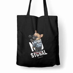 No Signal