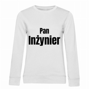 Pan Inżynier