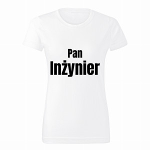 Pan Inżynier