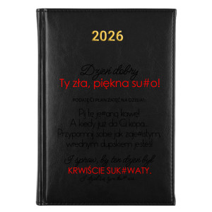 Plan na dzisiaj