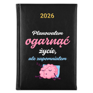 Planowałem ogarnąć życie, ale zapomniałem