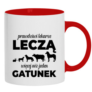 Prawdziwy Lekarz Leczy