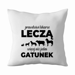 Prawdziwy Lekarz Leczy