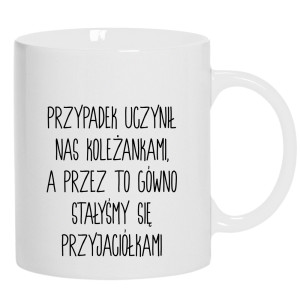 Przypadek uczynił nas koleżankami