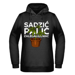 Sadzić, Palić, Zalegalizować!