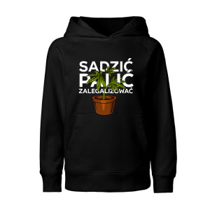 Sadzić, Palić, Zalegalizować!