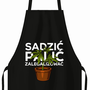 Sadzić, Palić, Zalegalizować!