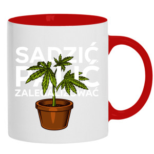 Sadzić, Palić, Zalegalizować!