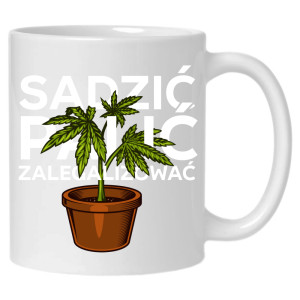 Sadzić, Palić, Zalegalizować!