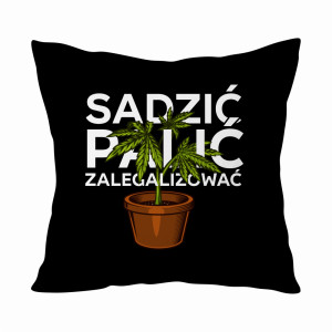 Sadzić, Palić, Zalegalizować!