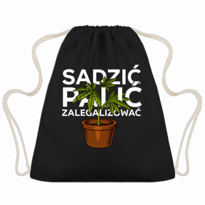 Sadzić, Palić, Zalegalizować!