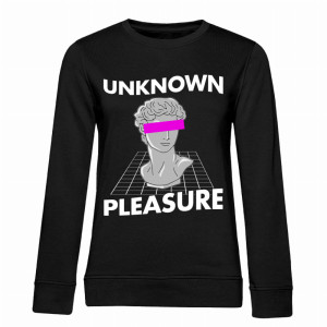 UNKNOWN PLEASURE