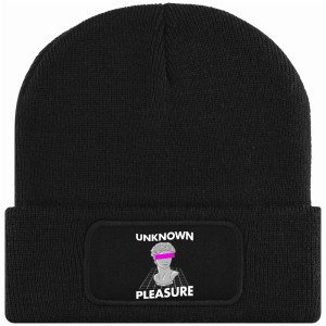 UNKNOWN PLEASURE