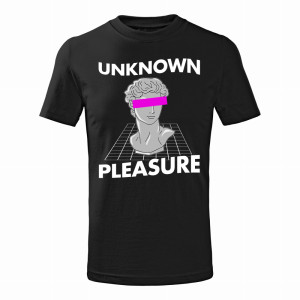UNKNOWN PLEASURE