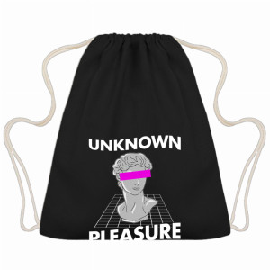 UNKNOWN PLEASURE